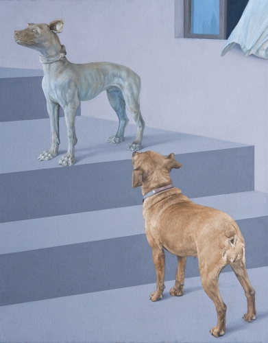 The Curious Dog